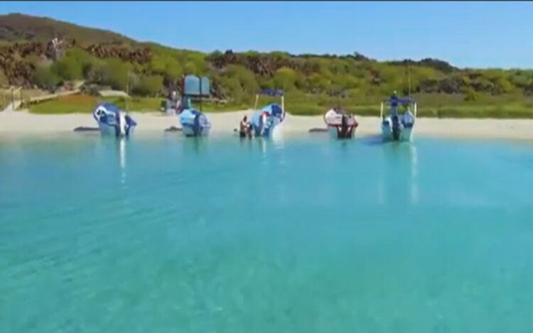 Acércate a descubrir las 186 Áreas Naturales Protegidas de México