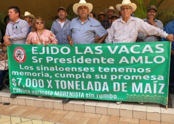 Protestan productores de maíz de sinaloa, por insuficiente precio de garantía; desfilan miles con maquinaria en Culiacán
