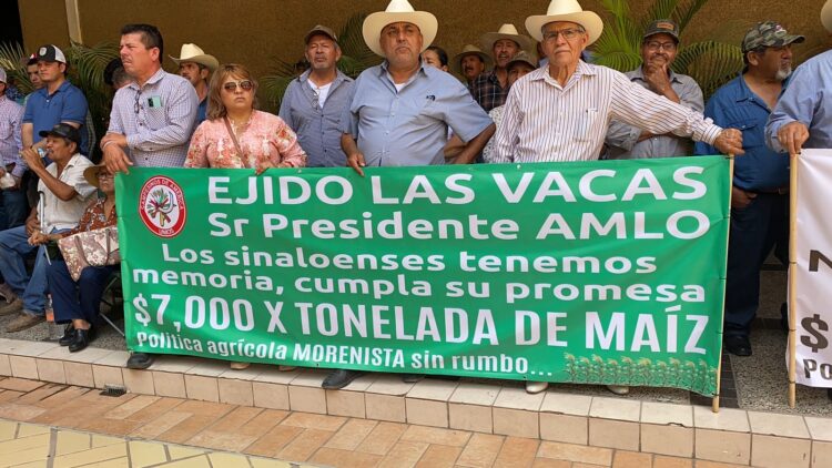 Protestan productores de maíz de sinaloa, por insuficiente precio de garantía; desfilan miles con maquinaria en Culiacán