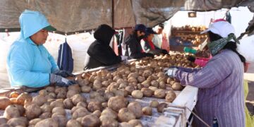 Se desploma saldo comercial