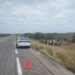 Guardia Estatal atiende volcadura de camioneta en Carretera Federal 180