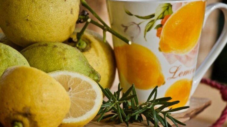 Mejora tu circulación sanguínea con un té de romero, así lo preparas fácilmente