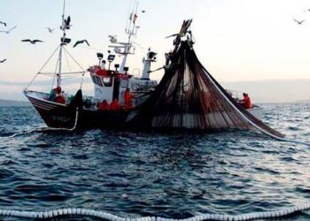 Continúan acciones para la protección del Alto Golfo de California