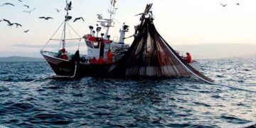 Continúan acciones para la protección del Alto Golfo de California