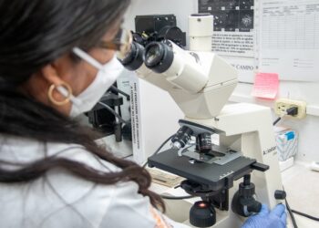 Analizan bacteria que afecta a los perros y que puede trasmitirse al ser humano