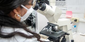 Analizan bacteria que afecta a los perros y que puede trasmitirse al ser humano