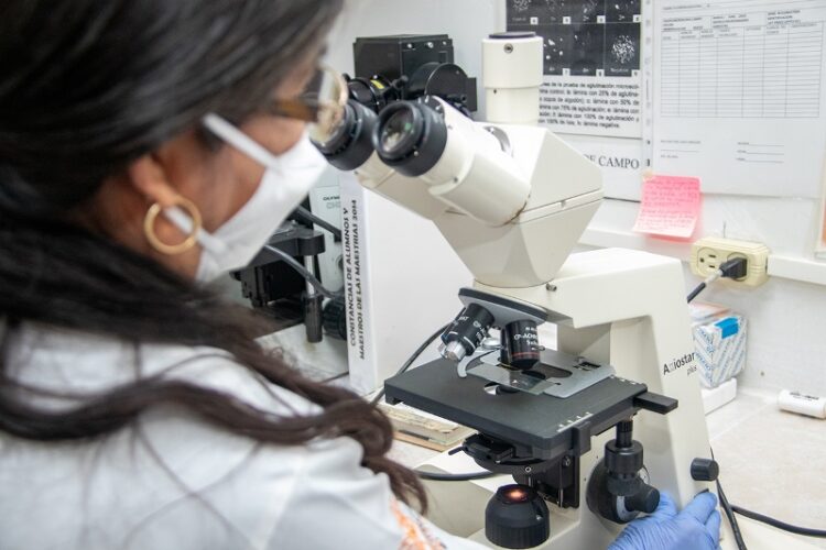 Analizan bacteria que afecta a los perros y que puede trasmitirse al ser humano