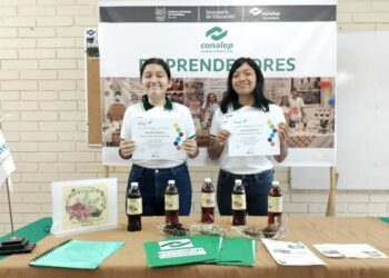 Alumnos de Conalep Tamaulipas destacan en concurso regional de SOLACyT