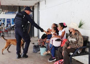 Binomios caninos de la Guardia Estatal mantienen vigilancia en Central de Autobuses