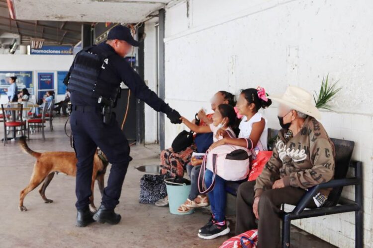 Binomios caninos de la Guardia Estatal mantienen vigilancia en Central de Autobuses