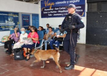 Ciudadanía respalda vigilancia de la Guardia Estatal en Central de Autobuses