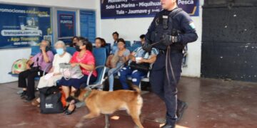Ciudadanía respalda vigilancia de la Guardia Estatal en Central de Autobuses