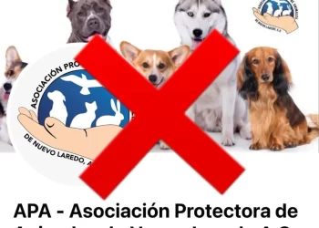 Lucra Asociación Protectora de Animales – APA de Nuevo Laredo con rescate de animales