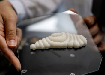 Crean filetes de pescado impresos en 3D