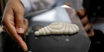 Crean filetes de pescado impresos en 3D
