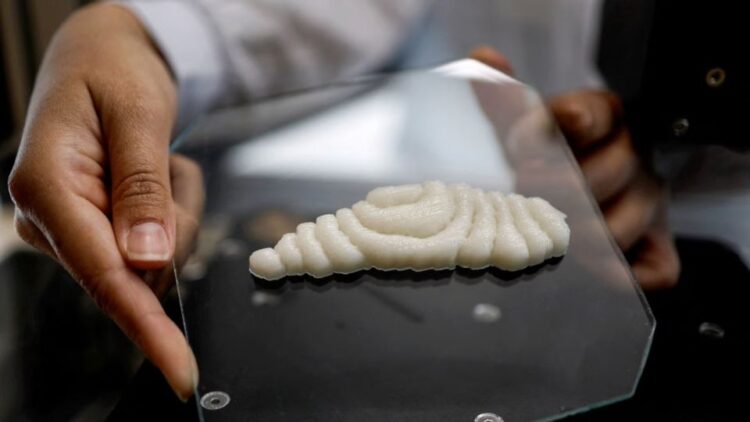 Crean filetes de pescado impresos en 3D