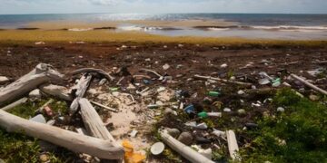 Cambio climático: hablemos de la “isla plástico” y sus habitantes nativos