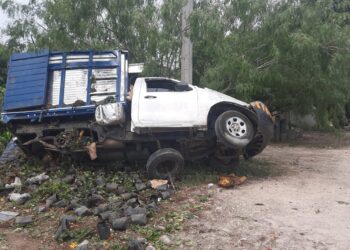 Guardia Estatal atiende volcadura de vehículo cargado de plantas