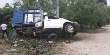 Guardia Estatal atiende volcadura de vehículo cargado de plantas