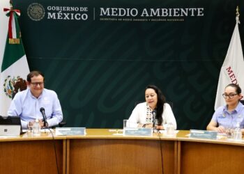 Se informa sobre Crucero de Observación Vaquita Marina 2023