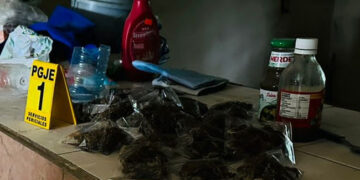 Catean casa y encuentran bolsas con hierba con características a la marihuana