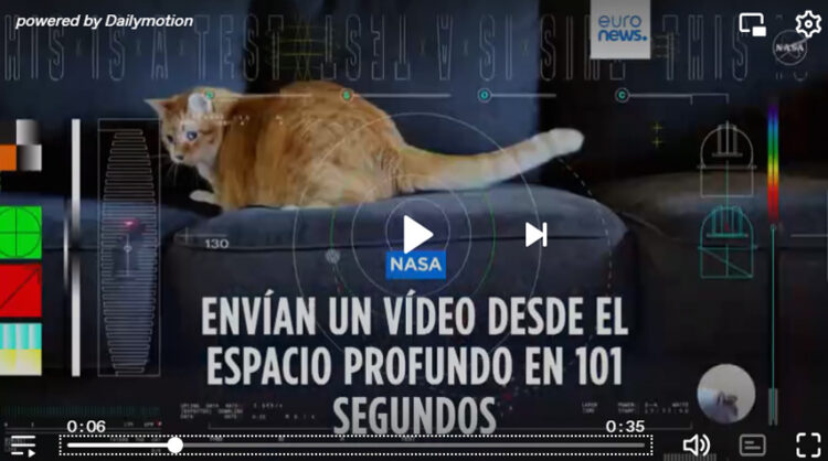La NASA proyectó el video de un gato desde el espacio