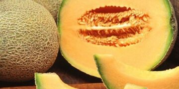 Seis canadienses mueren por consumir melón mexicano contaminado