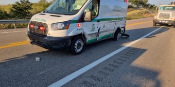 Alerta: circulación cerrada en un carril de la Carretera Federal 81