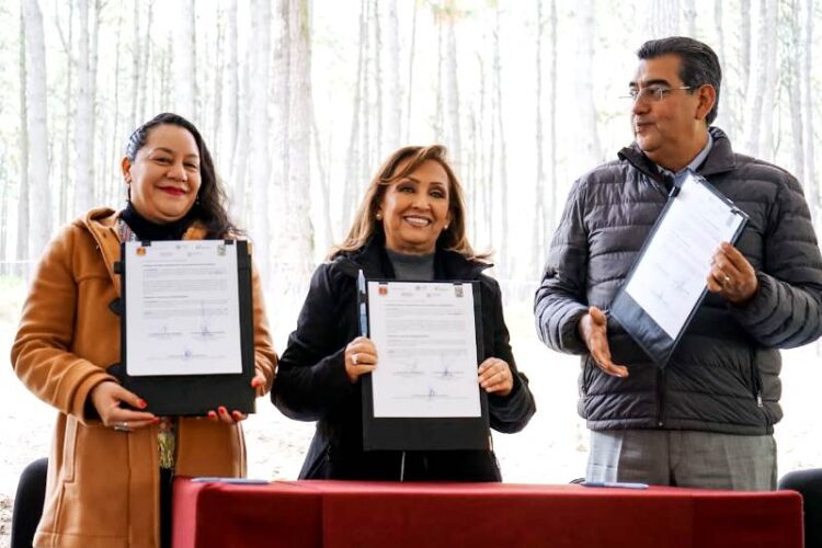 Semarnat y autoridades de Tlaxcala y Puebla se coordinan para combatir tala ilegal en Parque Nacional La Montaña Malinche