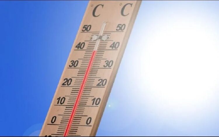 Ola de calor en México: Estas son las recomendaciones que debes seguir