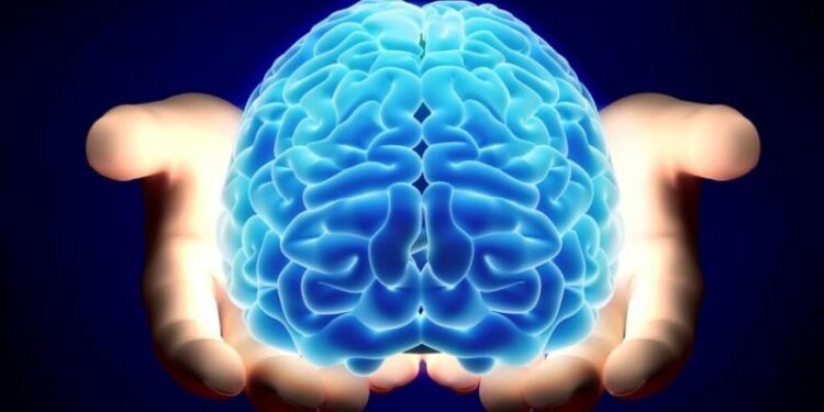 El reto de conocer el cerebro