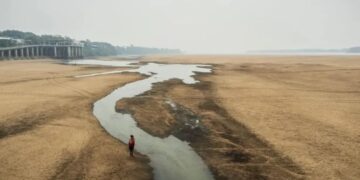 En la Amazonía brasileña se reduce el caudal del río Branco a mínimos históricos