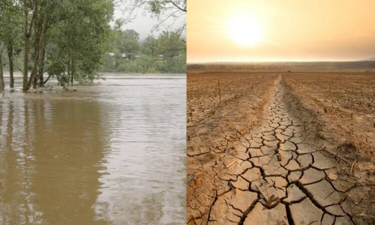 “El Niño” se debilita y esto pasará con las temperaturas en el mundo