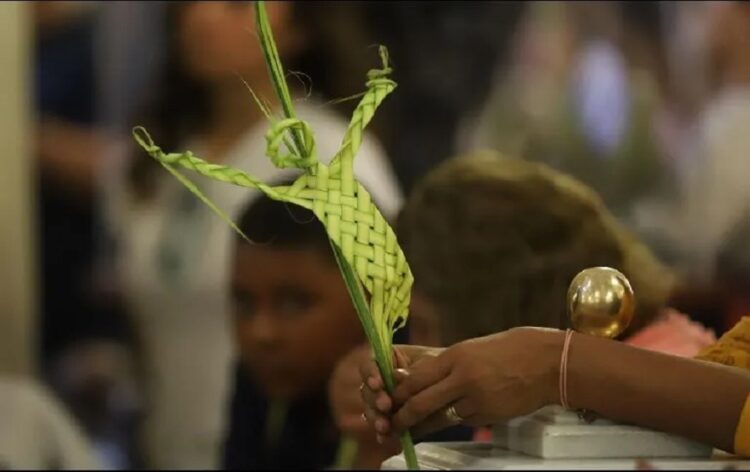 Semana Santa: ¿Qué significado tiene el Domingo de Ramos?