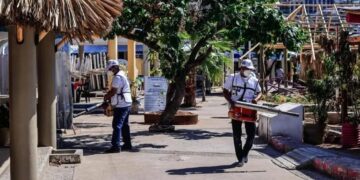 Se espera la peor temporada de dengue en la historia en América Latina: OPS