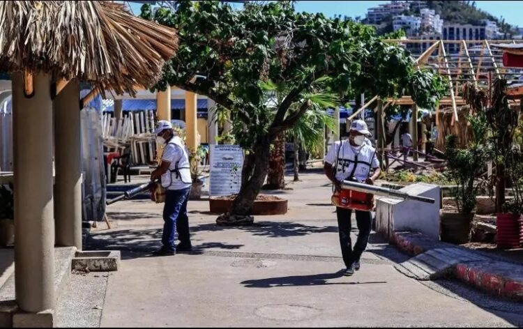 Se espera la peor temporada de dengue en la historia en América Latina: OPS