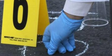 Reportan 534 homicidios en primera semana de marzo en México