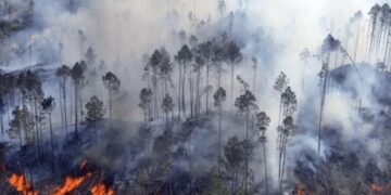 Paraguay registra más de cien incendios forestales en medio de olas de calor