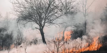 Los incendios se pueden prevenir, ayudanos