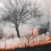 Los incendios se pueden prevenir, ayudanos