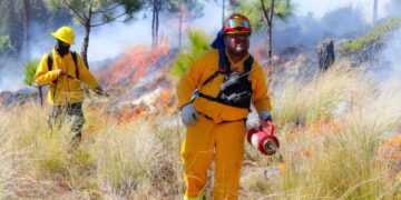 Hay 116 incendios forestales en México; van 4 muertos: AMLO