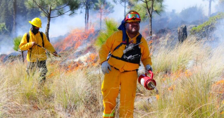 Hay 116 incendios forestales en México; van 4 muertos: AMLO