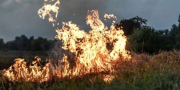Tamaulipas dentro de los estados que tienen mayor riesgo de registrar incendios