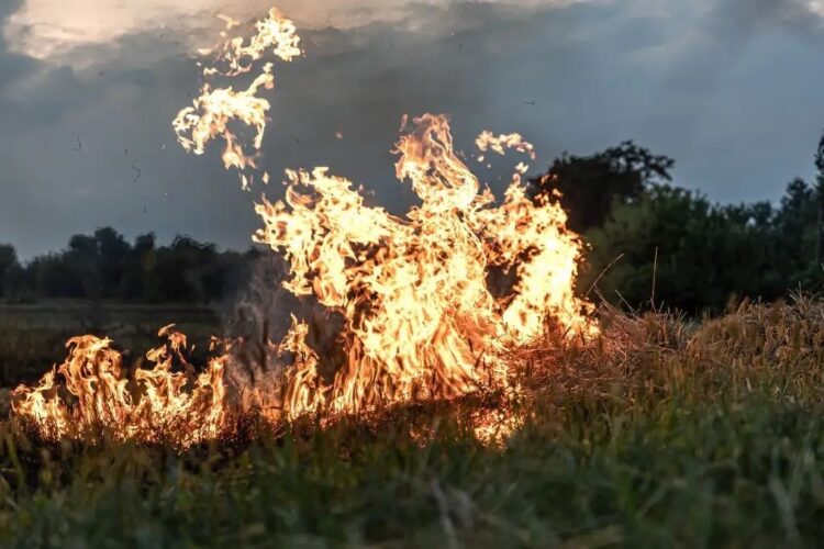 Tamaulipas dentro de los estados que tienen mayor riesgo de registrar incendios