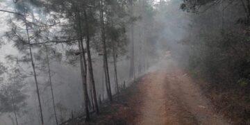 Se quema parte de la sierra del ejido Conrado Castillo, municipio de Hidalgo