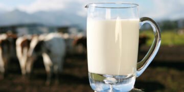 ¿Qué país es el mayor consumidor de leche?