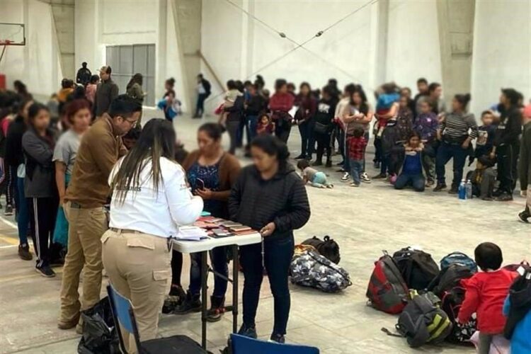 Aseguran a 226 migrantes que viajaban en tráiler