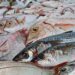 ¿Cómo conservar pescados y mariscos frescos en casa?