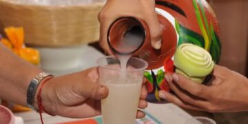 Conoce el trabajo del tlachiquero: el viejo oficio en torno al pulque