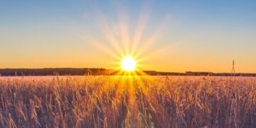 El de 2024 es el febrero más cálido registrado en el planeta en 175 años